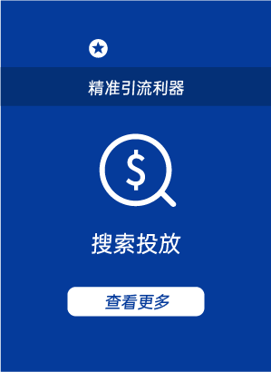 搜索投放